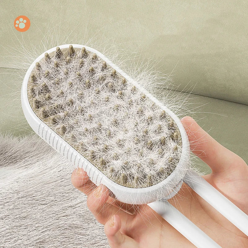 CatBrush